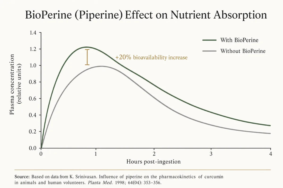 Supplement standardization comparison chart showing differences between Remifemin and generic black cohosh extracts