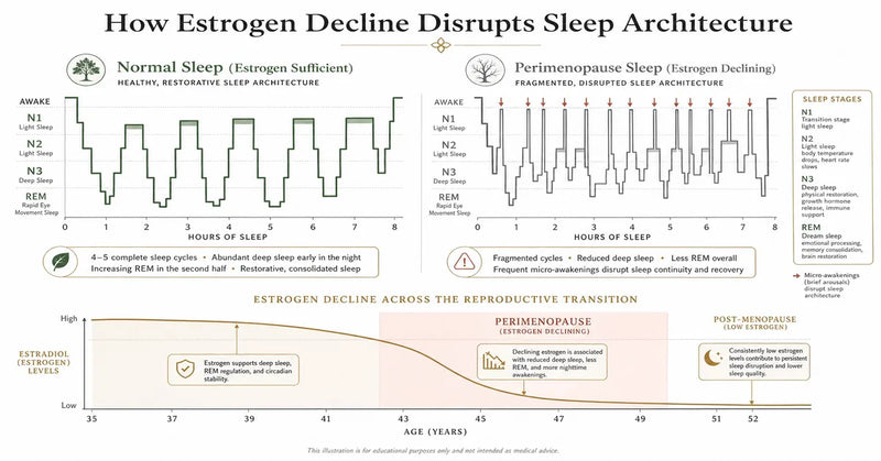 Sleep architecture stages chart showing REM and deep NREM disruption from estrogen decline in perimenopause